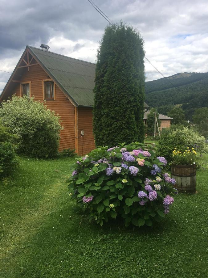 Гостьовий будинок Затишний Двір Яремче Екстер'єр фото